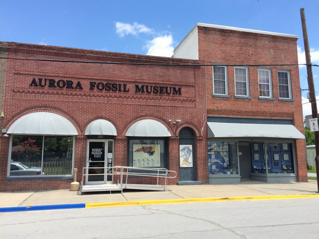 Fossil Hunting in Aurora