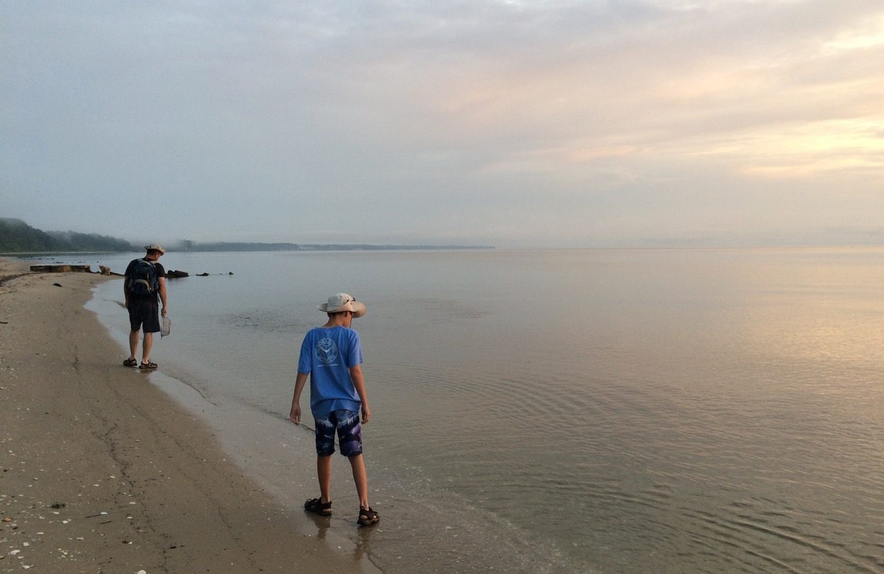 Beachcombing for fossils