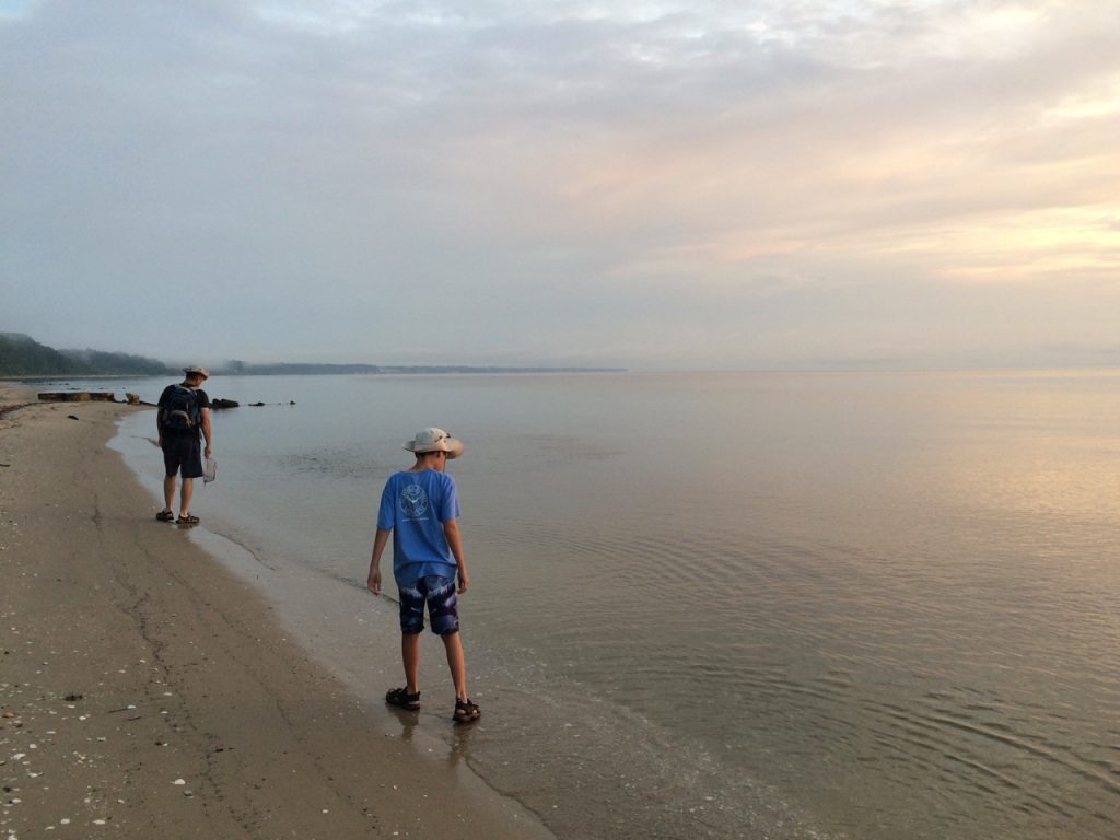 Beachcombing for fossils