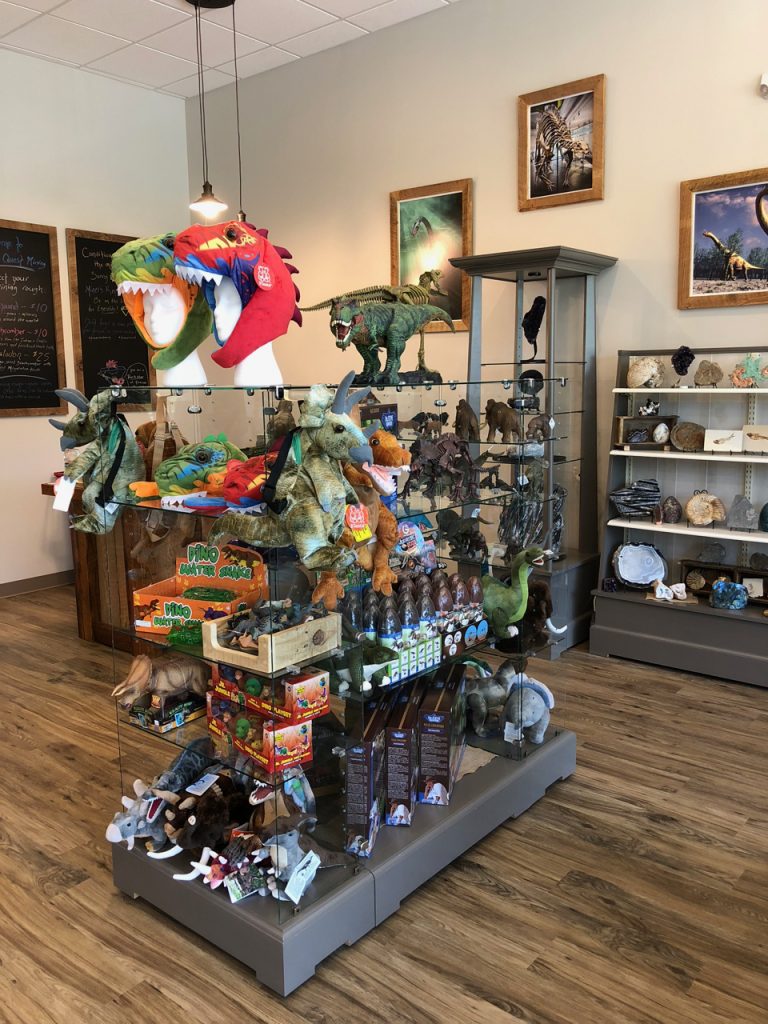 Prehistoric Gift Shop Fossils Crystals Dinosaurs and Metaphysical