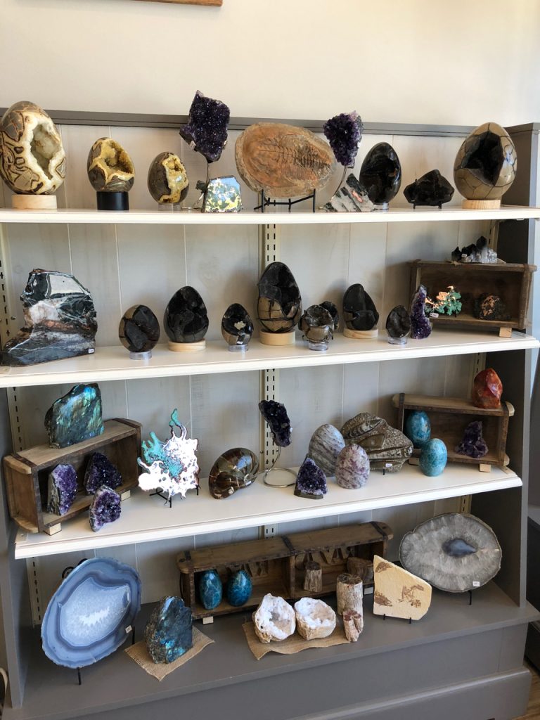 Prehistoric Gift Shop | Fossils | Crystals | Dinosaurs and Metaphysical