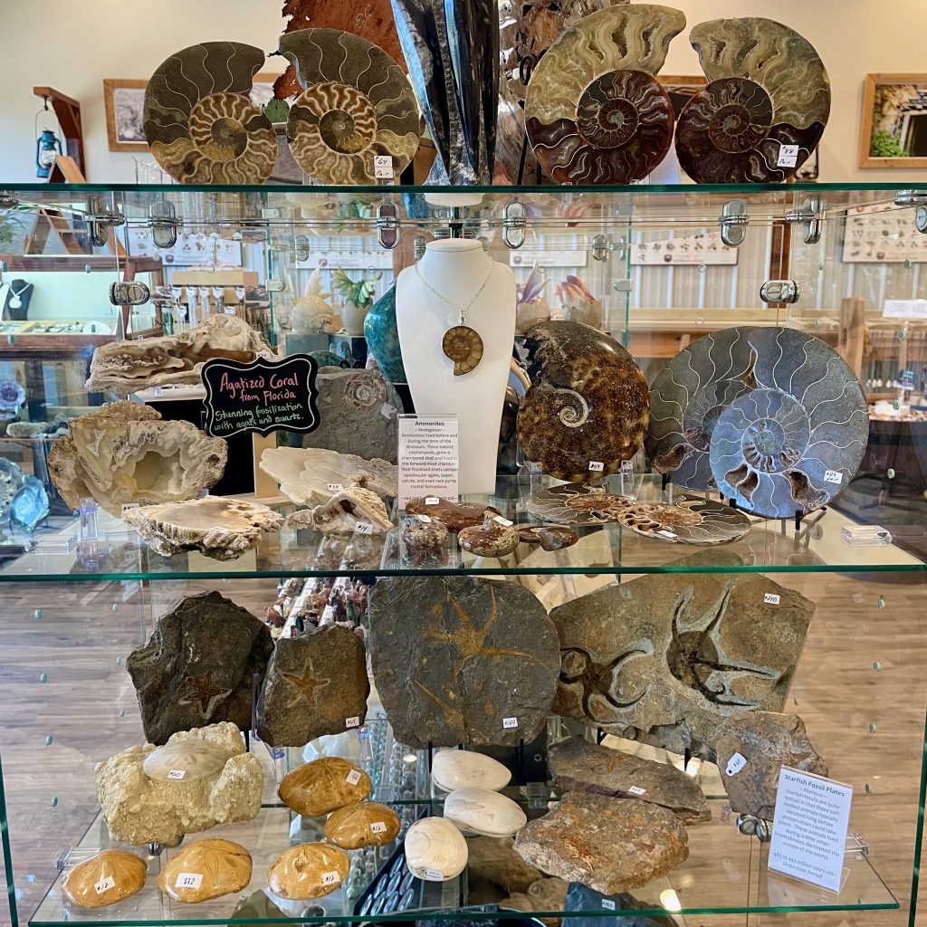Explore our Store | Treasure Quest Mining